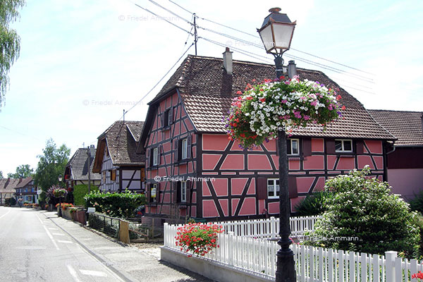 WORLD - France - Sundgau