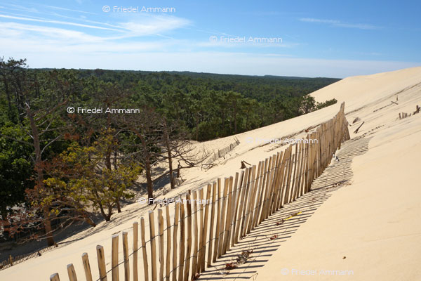 WORLD - France, Atlantik - Dune du Pyla, Arcachon