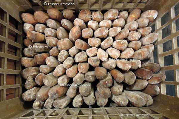 WORLD - France, Paris - baguettes