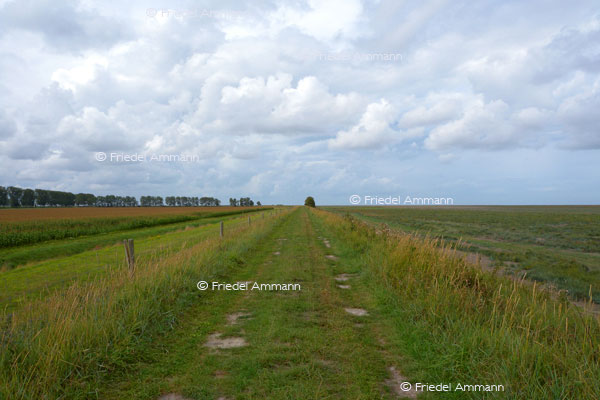WORLD – France, Bretagne - Sainte Anne