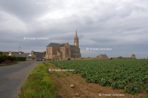 WORLD – France, Bretagne - Penvénan
