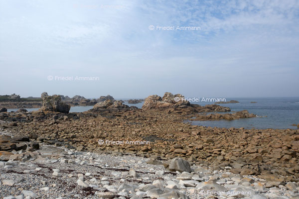 WORLD – France, Bretagne - Penvénan