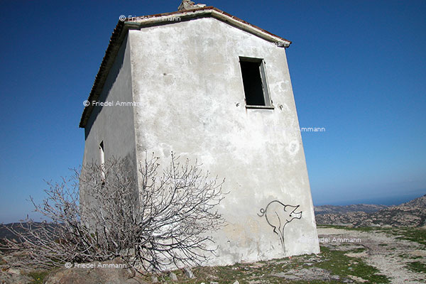 WORLD - France, Korsika, Corsica
