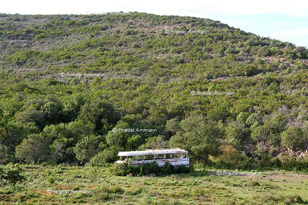 WORLD - France, Korsika, Corsica