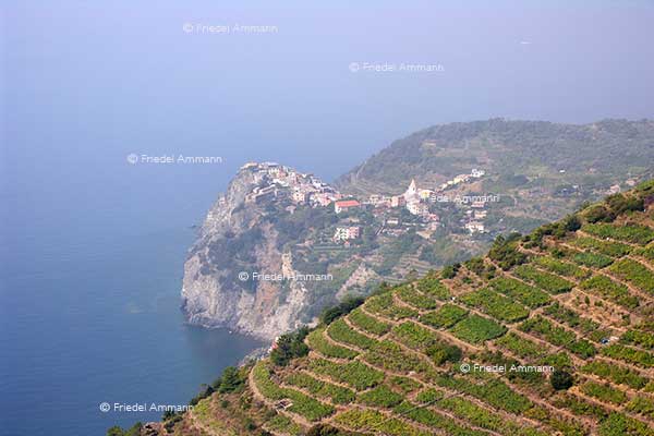 WORLD - Italia - Cinque Terre