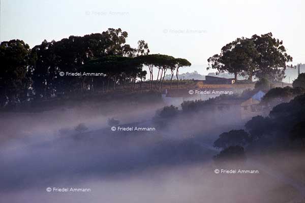 WORLD - Italia - Toscana