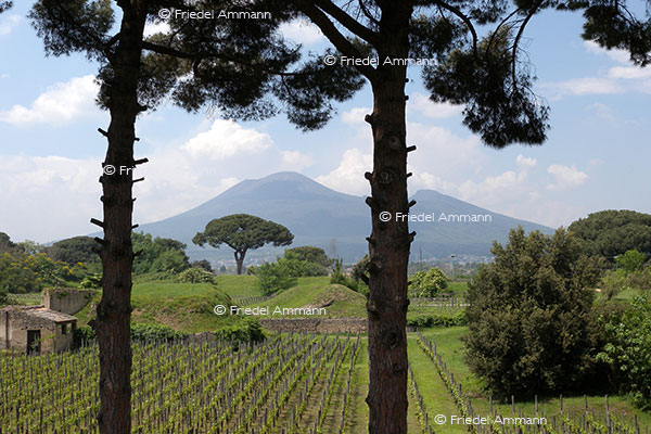 WORLD - Italia - Pompeii, Vesuv
