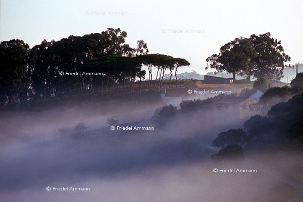 WORLD - Italia - Toscana