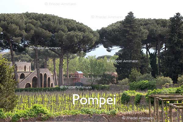 WORLD - Italia, Sud - Pompei