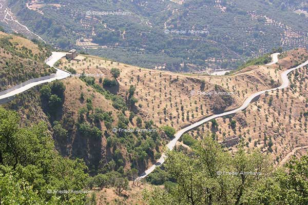WORLD - Italia, Sizilien / Sicilia