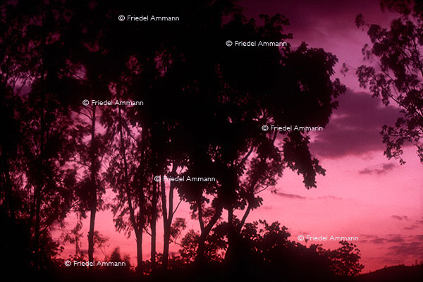 WORLD - Malawi - Zomba