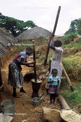 WELT - Malawi - Zomba Plateau