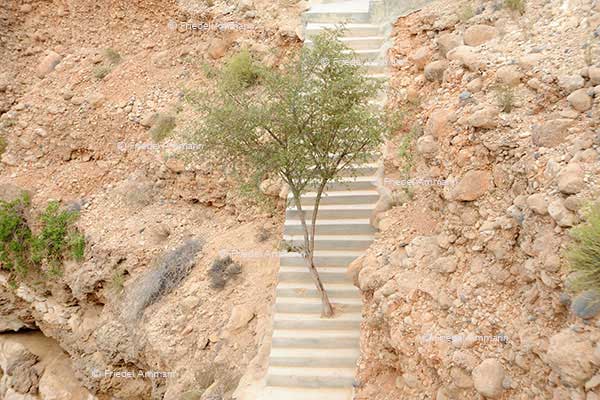 WORLD – Oman - Muscat - Sur Bibi Mariam
