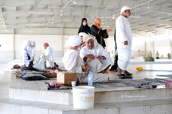 WORLD – Oman - Fishmarket, Sur