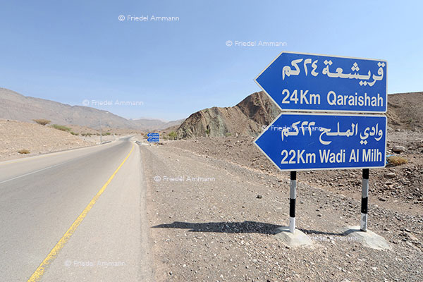 WORLD – Oman - Sur - Wahiba Sands - Wadi Beni Khalid