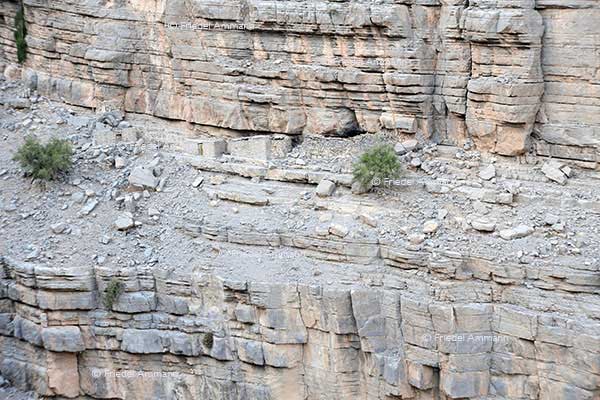WORLD - Oman - Musandam