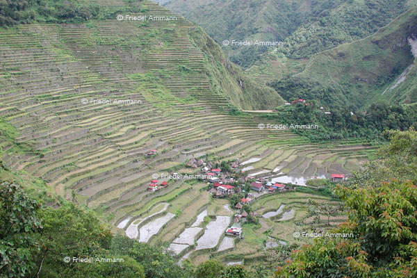WORLD - Philippinen - Banaue rice terraces