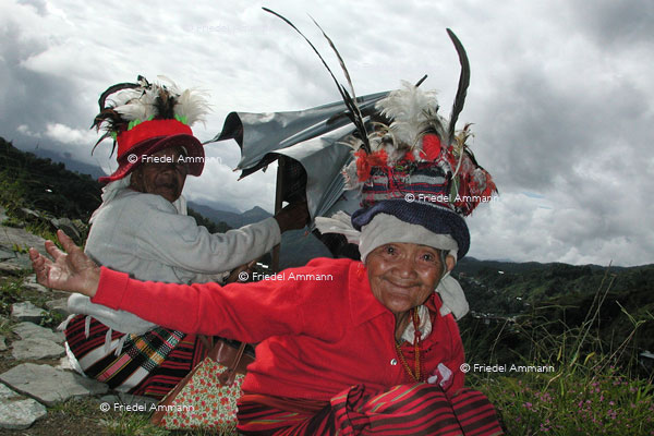 WORLD -  Philippinen - Banaue rice terraces