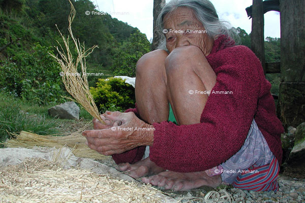 WORLD - Philippinen - Banaue rice terraces