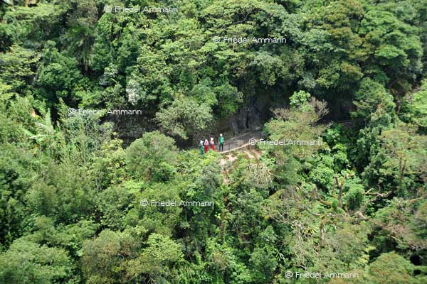 WORLD – Hong Kong – Victoria peak, old peak road