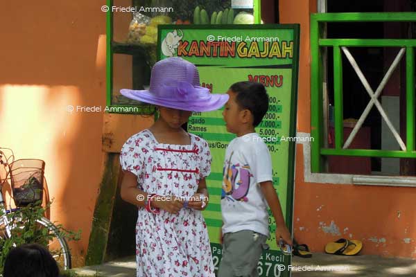 WORLD – Indonesien, Java - Yogyakarta Zoo