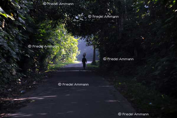 WORLD - Indonesien, Bali – balinese farmer