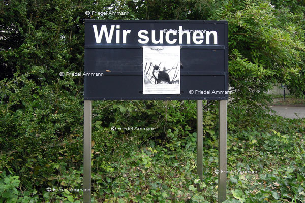 WIRTSCHAFT / ECONOMY – Handwerk / Craft