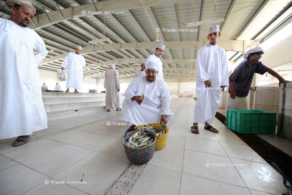 WIRTSCHAFT / ECONOMY - Dienstleistung / Service – Fischhändler / Fish Merchant, Sur, Oman