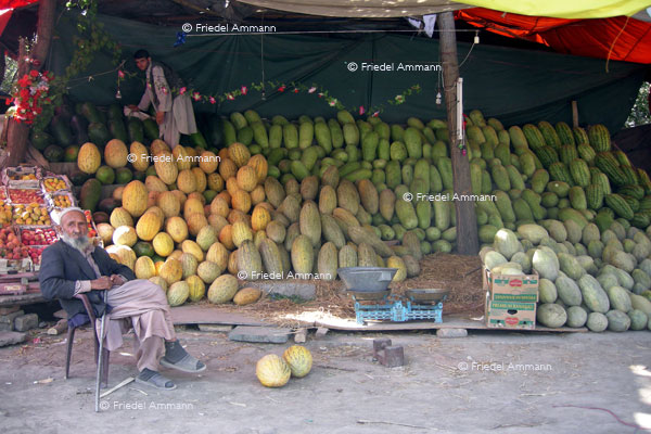 WIRTSCHAFT / ECONOMY - Dienstleistung / Service – Gemüse- und Fruchthändler / Vegetables / Fruits Merchant, Kabul, Afghanistan