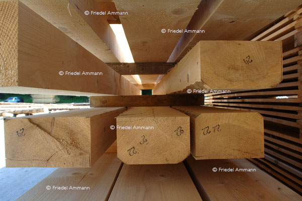 WIRTSCHAFT / ECONOMY – Architektur / Building 