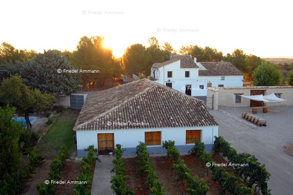 WIRTSCHAFT / ECONOMY - Landwirtschaft / Agriculture - Casa Lo Alto - Utiel-Requena, Spanien