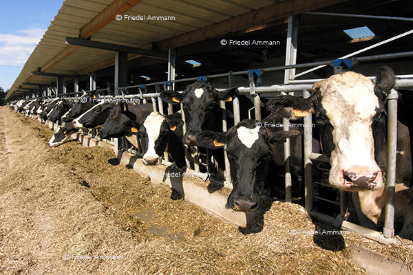 WIRTSCHAFT / ECONOMY - Landwirtschaft / Agriculture 