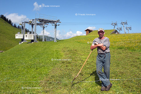 WIRTSCHAFT / ECONOMY - Landwirtschaft / Agriculture – Bergbauer/ Mountain Framer, Klewenalp