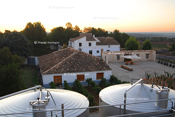 WIRTSCHAFT / ECONOMY - Landwirtschaft / Agriculture - Casa Lo Alto Weingut - Utiel-Requena, Spanien
