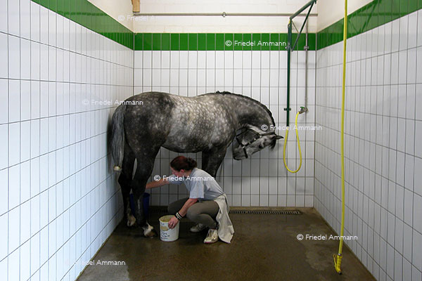WIRTSCHAFT / ECONOMY - Landwirtschaft / Agriculture 