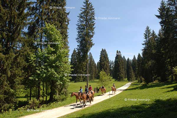 WIRTSCHAFT / ECONOMY - Landwirtschaft / Agriculture 