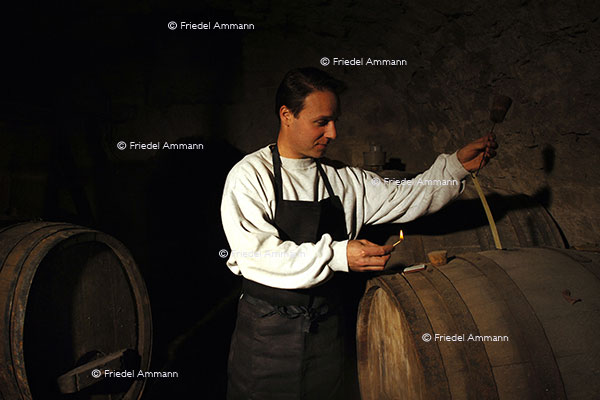 WIRTSCHAFT / ECONOMY - Landwirtschaft / Agriculture - Weinbauer / Winemaker
