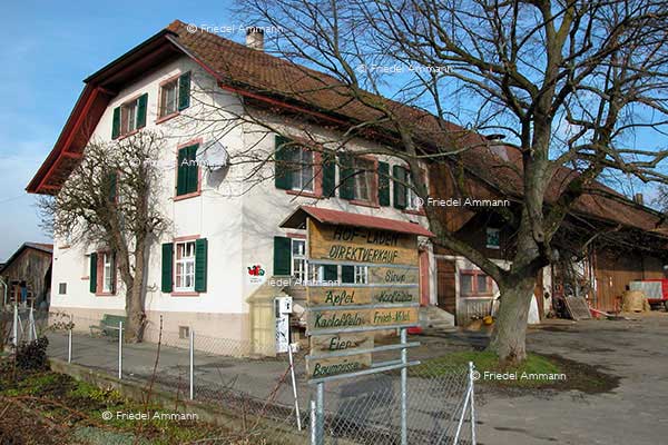 WIRTSCHAFT / ECONOMY -  Landwirtschaft / Agriculture 
