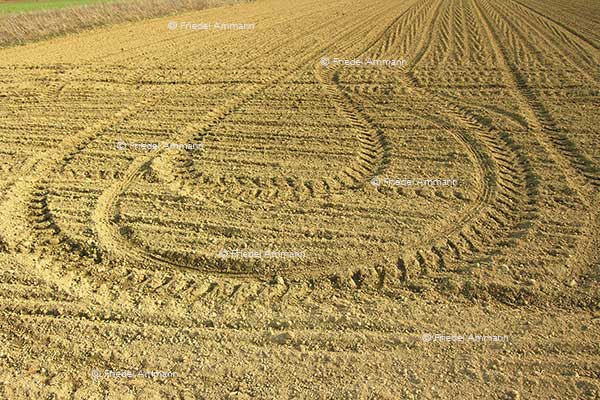 WIRTSCHAFT / ECONOMY -  Landwirtschaft / Agriculture 