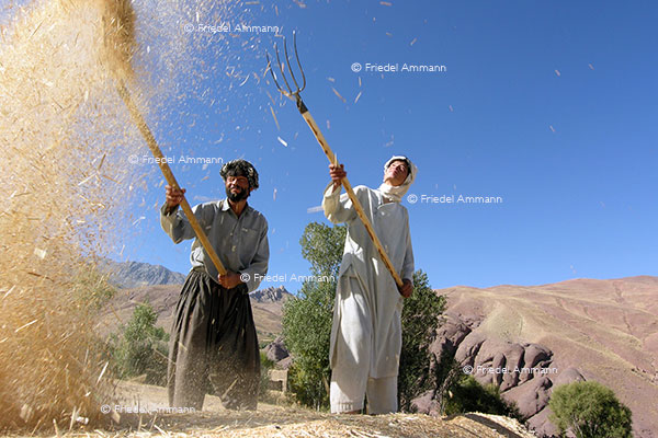WIRTSCHAFT / ECONOMY - Landwirtschaft / Agriculture - Afghanistan