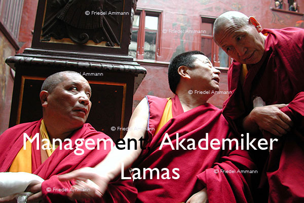 WIRTSCHAFT / ECONOMY - Management / Akademiker - Lamas