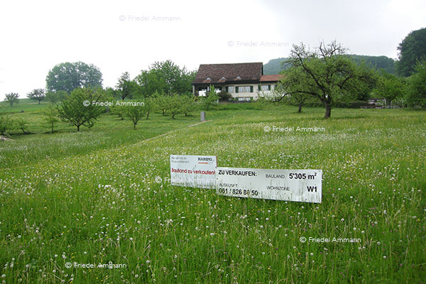 WIRTSCHAFT / ECONOMY - Business – Immobilien / Real Estate