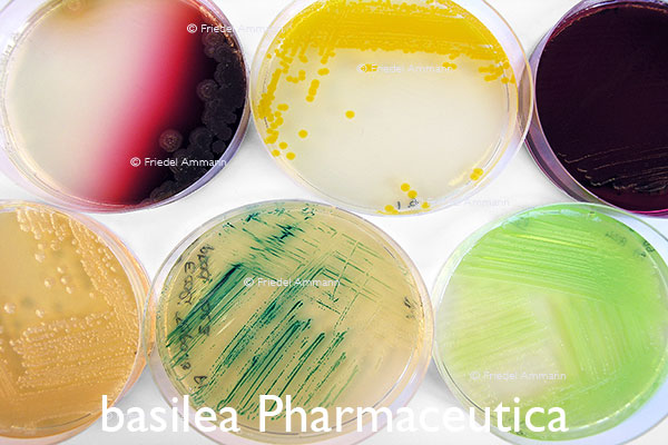 WIRTSCHAFT / ECONOMY - Forschung / Research - basilea Pharmaceutica – Basel, Schweiz