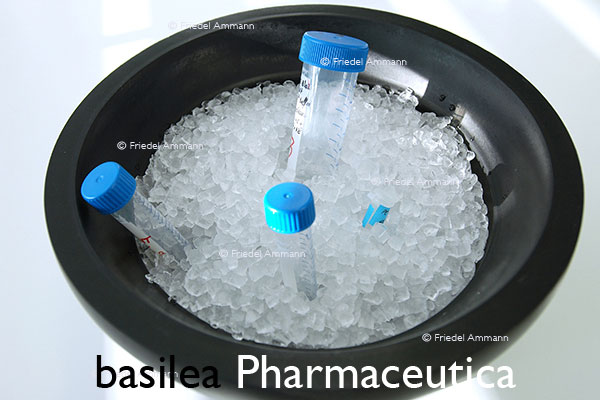 WIRTSCHAFT / ECONOMY - Forschung / Research - basilea Pharmaceutica – Basel, Schweiz