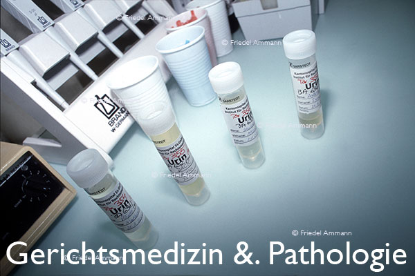 WIRTSCHAFT / ECONOMY - Forschung / Research - Rechtsmedizin