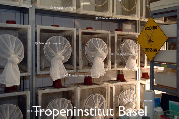 WIRTSCHAFT / ECONOMY - Forschung / Research – Malariaforschung - Tropeninstitut Basel 