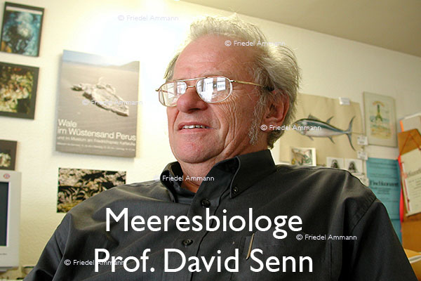 WIRTSCHAFT / ECONOMY - Forschung / Research – Meeresbiologie – Prof. David Senn