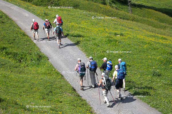 WIRTSCHAFT / ECONOMY - Tourismus Schweiz 