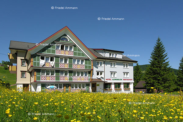 WIRTSCHAFT / ECONOMY - Hotellerie - Hotel Alpenblick, Appenzell