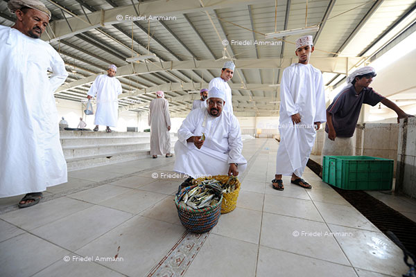 WIRTSCHAFT / ECONOMY - Handel / Retail – Fischmarkt / Fishmarket - Sur, Oman